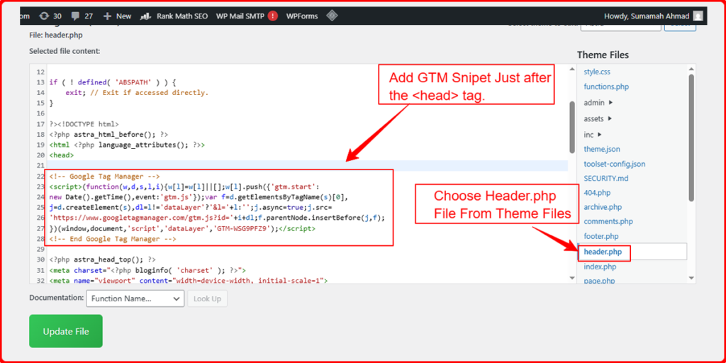 Add GTM to WordPress Manually